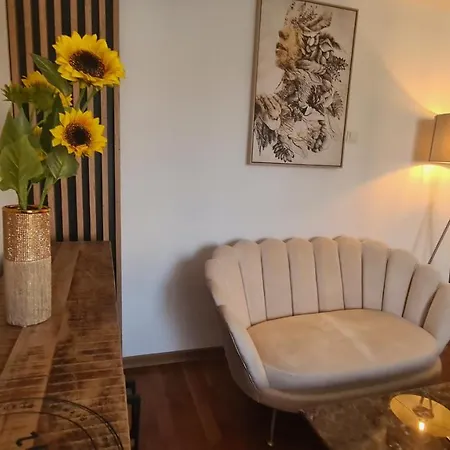 Main Square 5 Star Luxury With View 公寓 克卢日-纳波卡